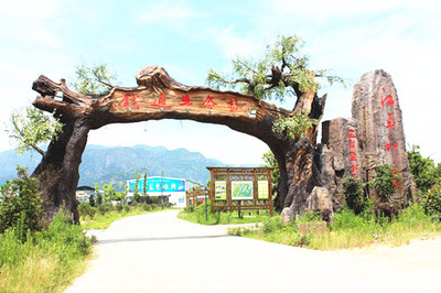 生態園大門_假樹大門設計原則